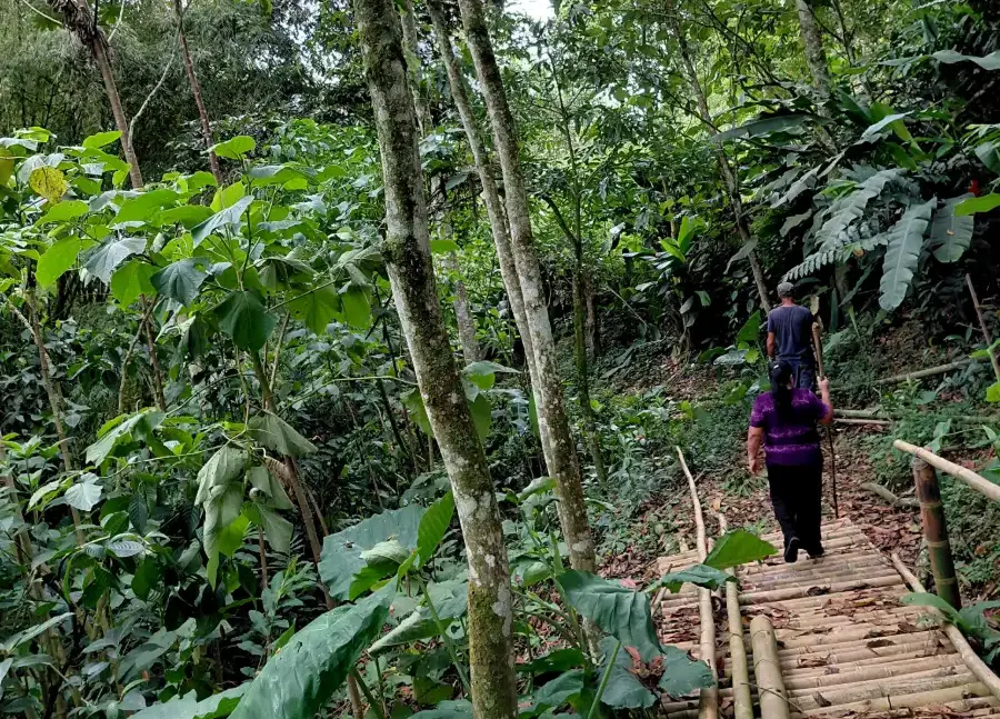 Caminatas
